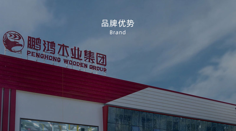 板材品牌、全屋定制品牌、生態(tài)板十大品牌