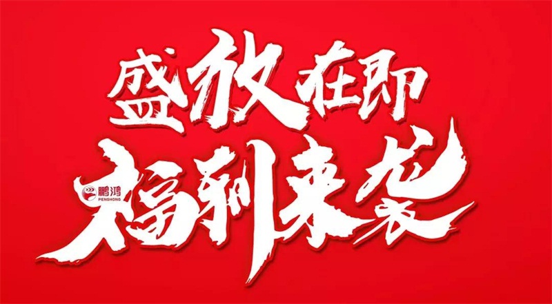 再拓疆域！鵬鴻We+定制&紅星美凱龍聯(lián)袂亮相烏魯木齊