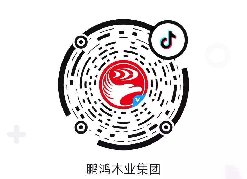 這廂有禮丨這個(gè)春節(jié)我最鴻，抖音相伴幸福年